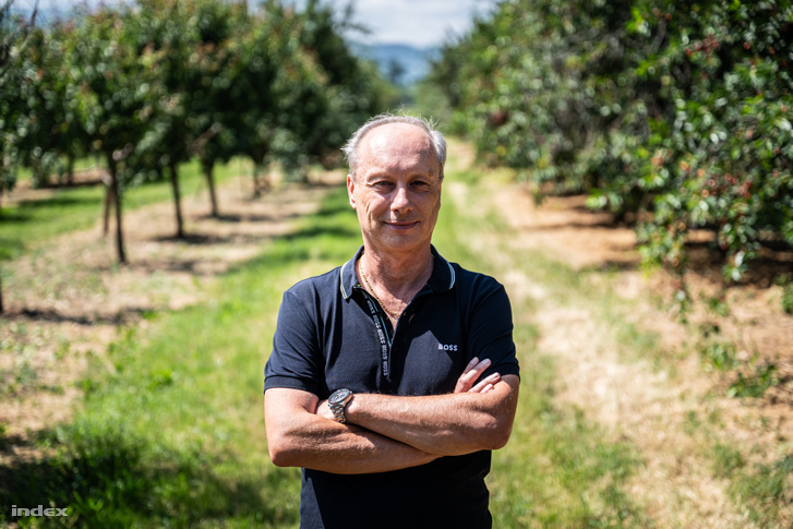 Schmidt Szilárd, a Berkenyei Hűtőház ügyvezetője és tulajdonosa