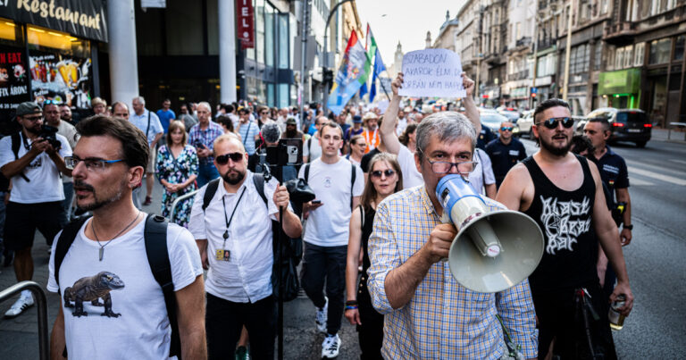 Hadházy Ákos hiába kérte, hogy ne tegyék, a tüntetők mégis elindultak hidat foglalni