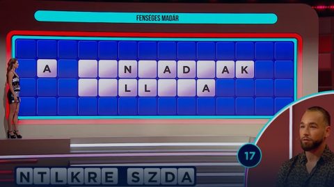 Milliókat bukott a Szerencsekerékben a Házasság első látásra egykori szereplője