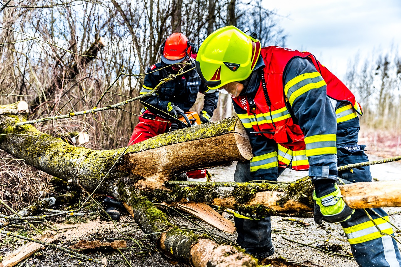 Kidőlt fák és vihar utáni romok Budapesten